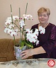 Орхидея. Наибольшее количество цветов на растении. Рекорд России