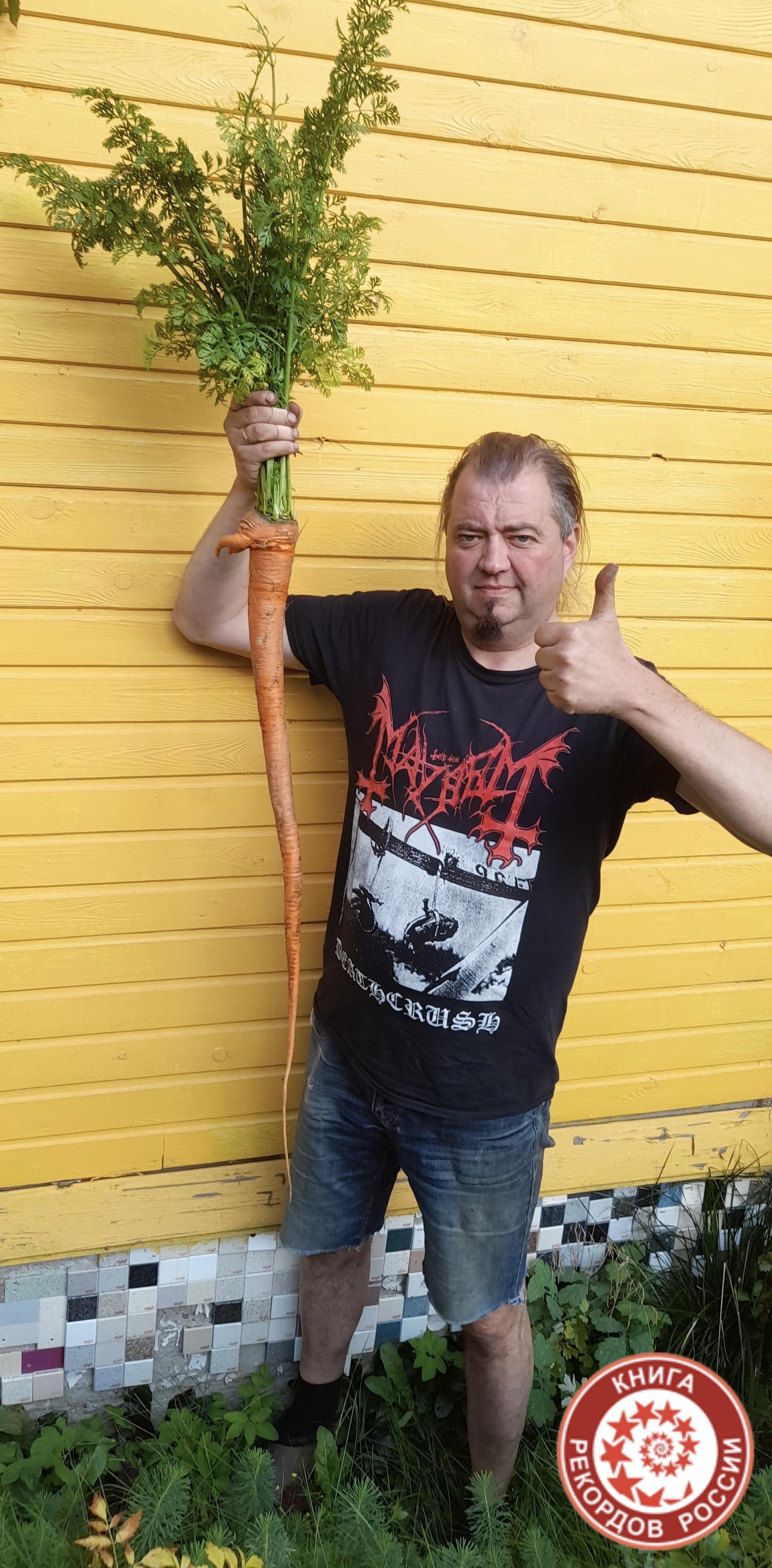 Самая длинная морковь в России