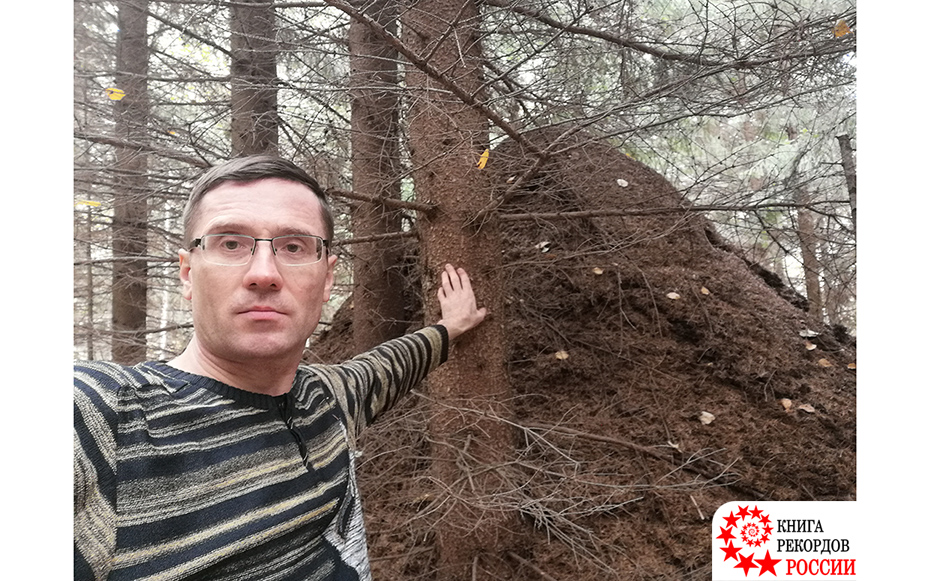 Наибольшая высота муравейника в России