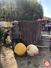 Самая большая плетеная корзина из полимерной лозы в России