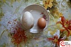 Самое большое куриное яйцо в России