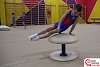 Наибольшее количество оборотов на гимнастическом снаряде &quot;Грибок&quot; за один подход в России (мальчики, 5 лет)